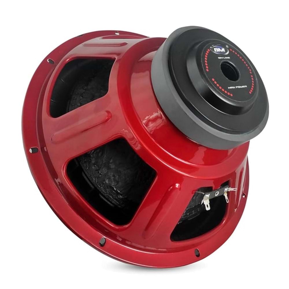 BM 30 CM BASS SUBWOOFER