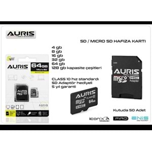 TR//AURIS 4 GB Mikro SD Hafıza Kartı Class 6